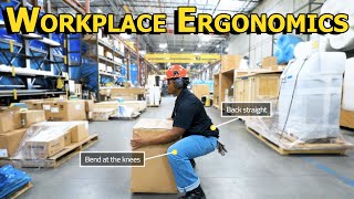 Workplace Ergonomics [upl. by Noffets646]