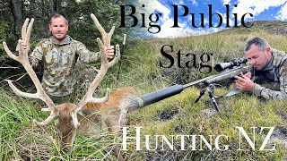 Big Public Land Red Stag Hunting NZ [upl. by Ellenet295]