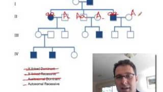 Pedigree Analysis 1 How to solve a genetic pedigree No 1 [upl. by Yenwat]