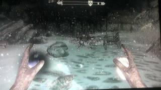 SKYRIM FAST Conjuration leveling guide 1100 [upl. by Yesnik]