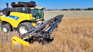 Harvesting Canola amp Road Train Truck Breakdown  Harvesting in Australia  Harvest 2023  Vlog 219 [upl. by Dag]