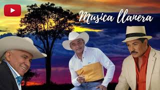 MUSICA LLANERA reinaldoarmas viticocastilloluissilva escarletlinares llaneras llanera [upl. by Anida]