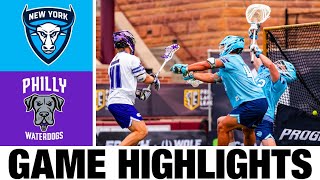 New York Atlas vs Philadelphia Waterdogs Highlights  2024 Premier Lacrosse League [upl. by Eseuqcaj438]