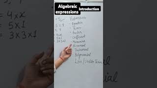 Algebraic Expressions introduction introduced of Algebraic expression [upl. by Philina975]