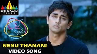 Oh My Friend Video Songs  Nenu Thaanani Video Song  Siddharth Shruti Hassan  Sri Balaji Video [upl. by Keven393]