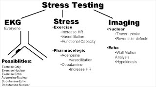 Stress Testing Explained By Cardiologist [upl. by Dowell]