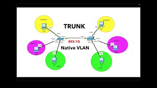 Trunk port  Native vlan configuration  CCNA 200301 [upl. by Wise]