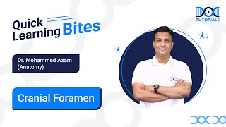 Anatomy Cranial Foramen  Dr Mohammed Azam  Quick Learning Bites  NEET PG  FMGE  DocTutorials [upl. by Amaras]