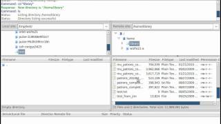 FileZilla SFTP Demonstration [upl. by Eseret635]