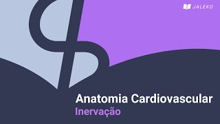 Anatomia cardíaca  Inervação [upl. by Eirrek216]