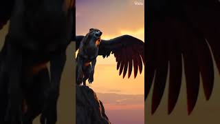 WolfEagleWogle animalfacts aicreator ai animalfusion hybridanimals youtubeshorts viralshort [upl. by Milewski]