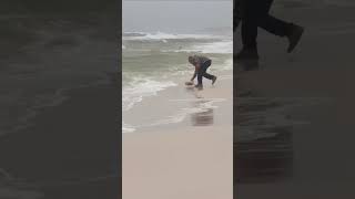 Destin Fl Beach Cowboy [upl. by Garwin]