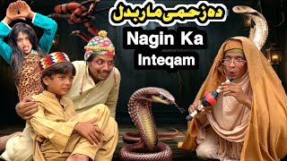 Nagin Ka Inteqam Da Zahme Maar Badal  New Funny Video 2024 by Tuti Gull Vines [upl. by Damaris920]