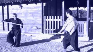 Ogawa Ryu Valencia Training 2010  Yarijutsu [upl. by Laden697]