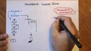 Programación Conceptos Básicos [upl. by Runkle]