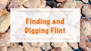 Finding and Digging Flint [upl. by Ylrahc]