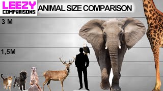 Animal Size Comparison  LeeZY Comparisons [upl. by Bainbrudge]