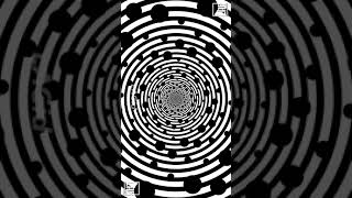 Hypnotic Optical Illusions That Will Blow Your Mind [upl. by Osnofedli]