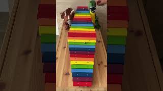 The Most Satisfying Marble Run Ever Created [upl. by Naillij]