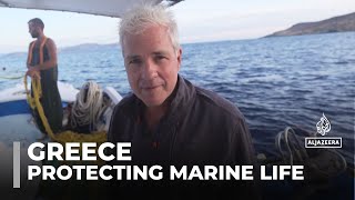 Marine ecosystem in danger Fishermen launch initiative to protect sea in Amorgos [upl. by Halyhs86]