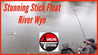 Stunning Stick Float Fishing for Roach on The River Wye [upl. by Goff]