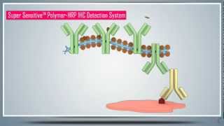 Immunohistochemistry IHC amp AntigenEpitope Protein Retrieval  Principle Technique and Protocol [upl. by Ruscher]