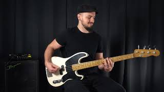 Zoviet quotAyerquot Bass Playthrough  Bergantino Forte HP TS Circuit  DI [upl. by Ivad452]