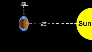 Space Science Tutorial Spring and Neap Tides [upl. by Eijneb]