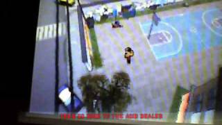 grand theft auto chinatown wars glitches [upl. by Dlorrej334]