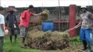 Part 1 Composting the fast and easy way in English and Tagalog [upl. by Acimehs]