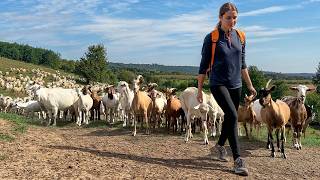 Shepherd Girls Life Herding Sheep Embracing Nature  How Does She Live [upl. by Quintie]