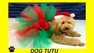 How to make CHRISTMAS DOG TUTU SKIRT XMAS FESTIVE DRESS  DIY Dog Craft by Cooking For Dogs [upl. by Ylrebmik]