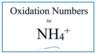 How to find the Oxidation Number for N in the NH4 ion Ammonium ion [upl. by Eisaj]