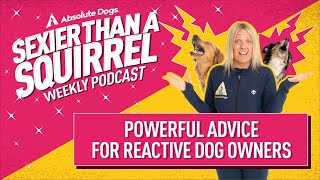 Powerful Advice for Reactive Dog Owners [upl. by Elie]