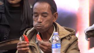 Look at this daring man eat hordes of King Chilly in Nagaland [upl. by Schonfield]