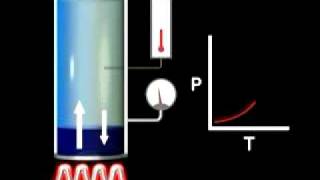 Vapor Pressure vs Temperature [upl. by Nihs498]