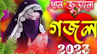 🌿 Bangla Gazal  Ghazal 2023  Islamic Gazal 2023  Notun Gojol 2023  Gazal 2023  islamic gojol [upl. by Eselehs]