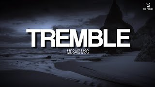 Tremble  Mosaic MSC Lyrics Video [upl. by Euqenimod]