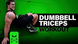 Intense 6 Minute Dumbbell Tricep Workout [upl. by Boggs500]