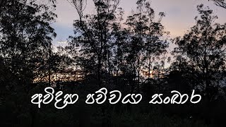 අවිද්‍යා පච්චයා සංඛාර [upl. by Carlyle716]