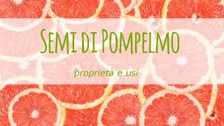 Semi di pompelmo proprietà e usi [upl. by Rihaz848]