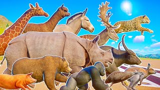 60 Animals Ultimate Running Race in Grassland How Many Animals Can Qualify Planet Zoo [upl. by Yenahpets685]