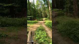 Flowtrail Mosbach mtb ebike mountainbike flowtrail downhill [upl. by Aennaej]