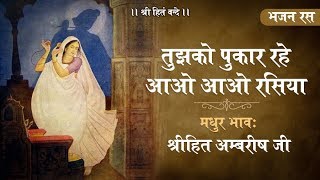 तुझको पुकार रहे आओ आओ रसिया  श्री कृष्ण भजन  श्रीहित अम्बरीष जी  Meera Bai Bhajan [upl. by Schonfield]