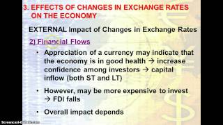 Effects of changes in Exchange Rates [upl. by Sielen]