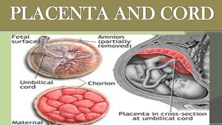 ABNORMALITIES OF PLACENTA amp CORD NOTES WITH EXPLANATION [upl. by Laaspere498]