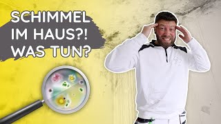 Schimmel an den Wänden was sollte ich tun [upl. by Cummings]