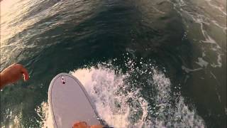 Waikiki Evening Surf Session with Rainbows and a Turtle [upl. by Urbannai860]