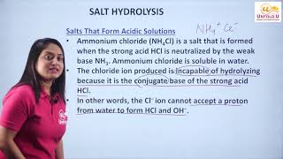 Salt Hydrolysis  Class 11  Chapter 7  Chemistry [upl. by Belayneh]