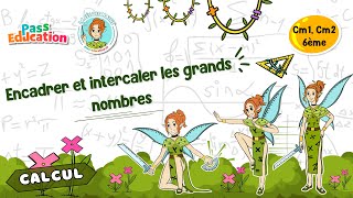 Encadrer et intercaler les grands nombres Cm1 Cm2 6ème  Fée des Maths Leçon Exercices Evaluations [upl. by Lleksah]